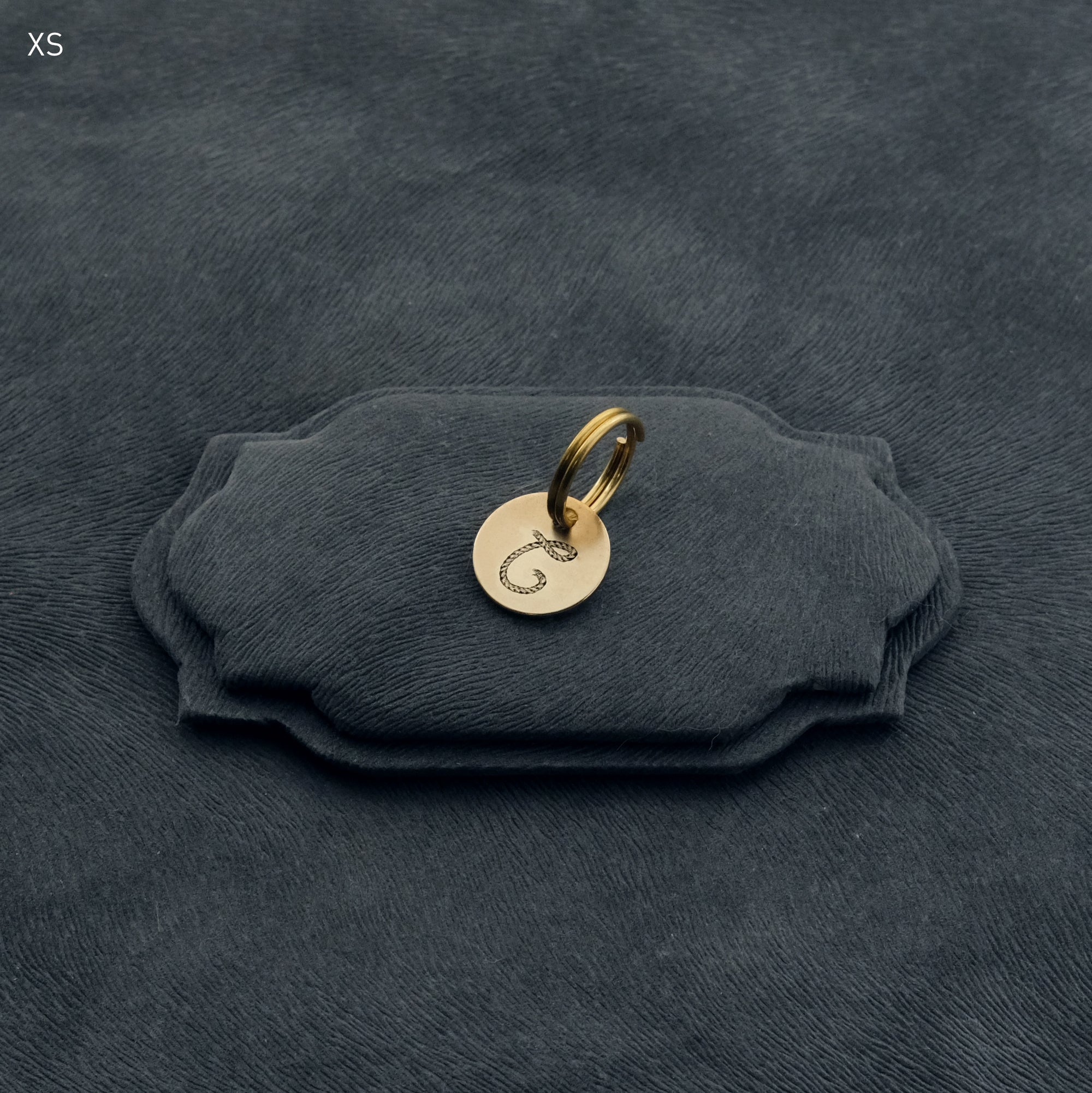 Initial Pet Tag - Rope