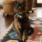 Initial Pet Tag - Rope