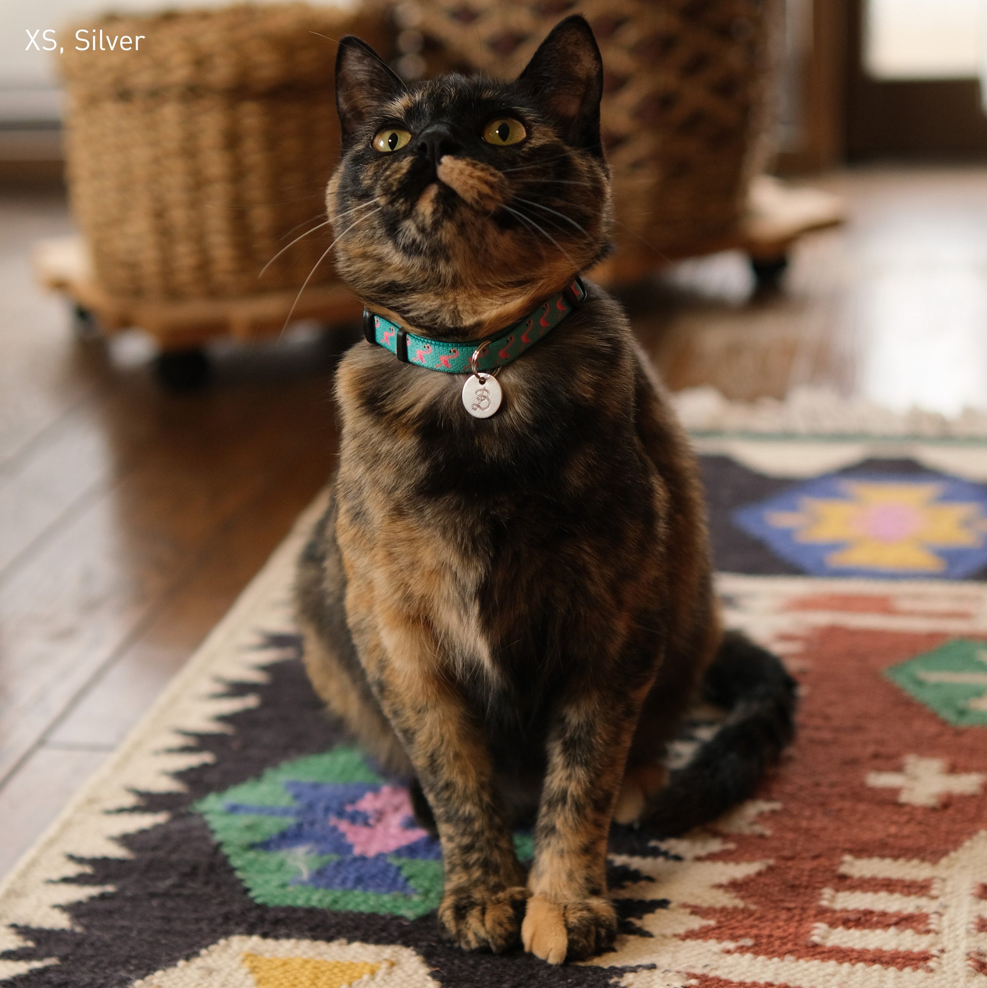 Initial Pet Tag - Rope