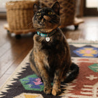 Initial Pet Tag - Rope