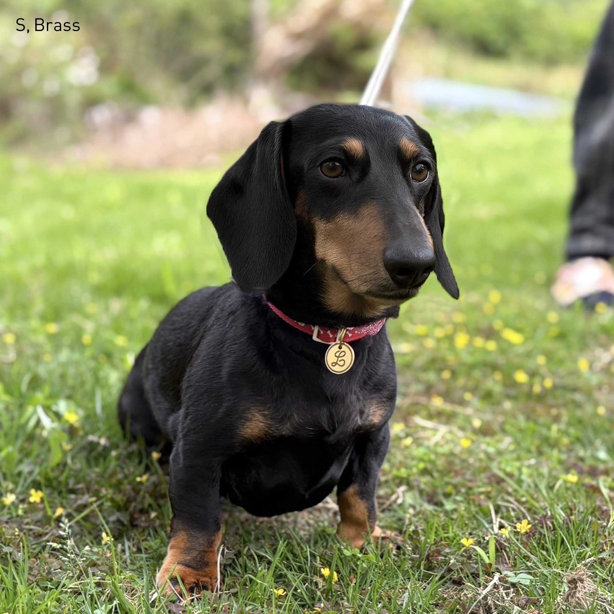 ロープ・イニシャル・ペットタグ（迷子札） | Rope Initial Pet Tag