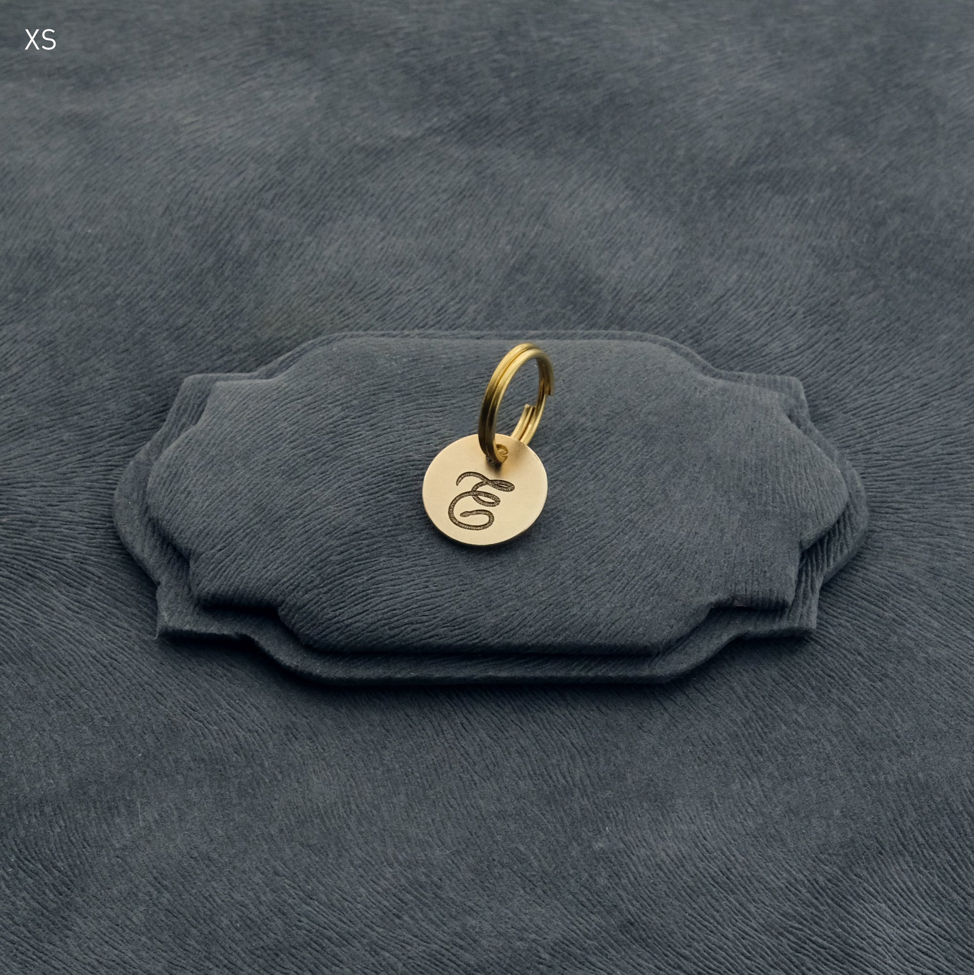 Initial Pet Tag - Snake