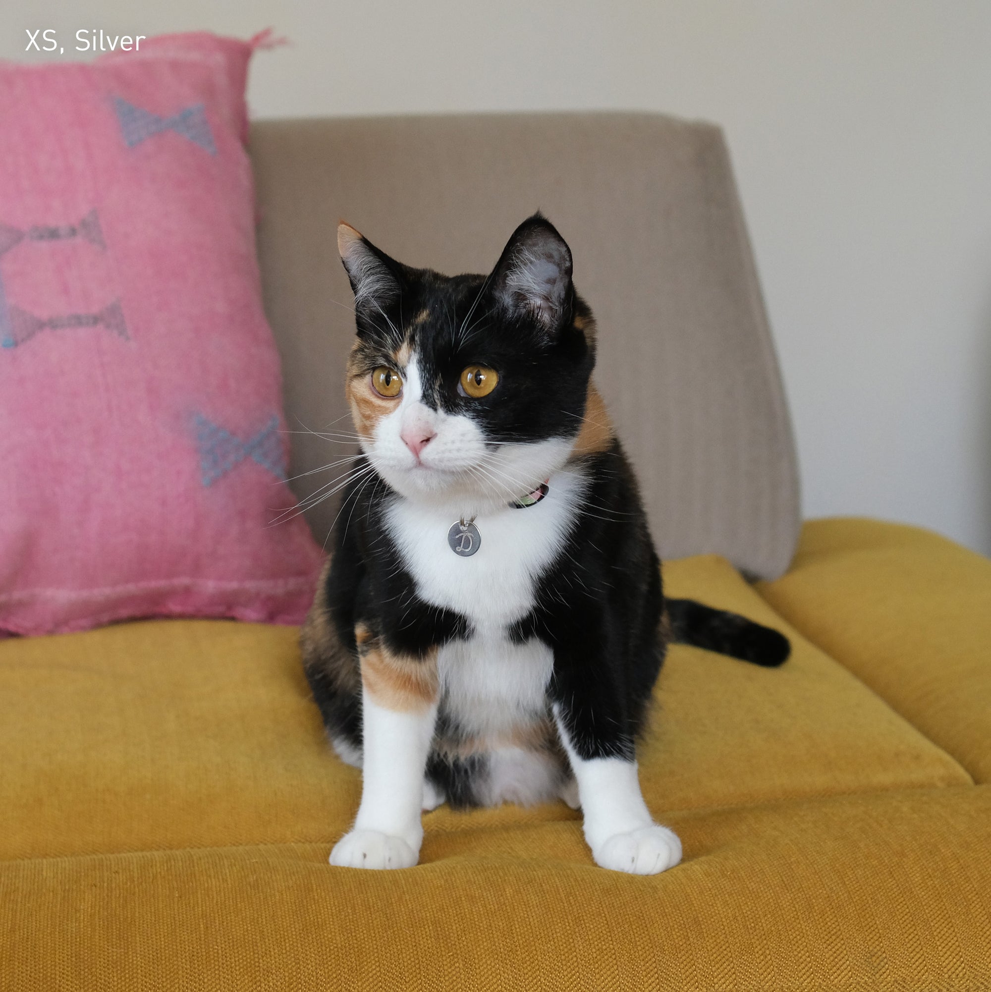 Initial Pet Tag - Snake