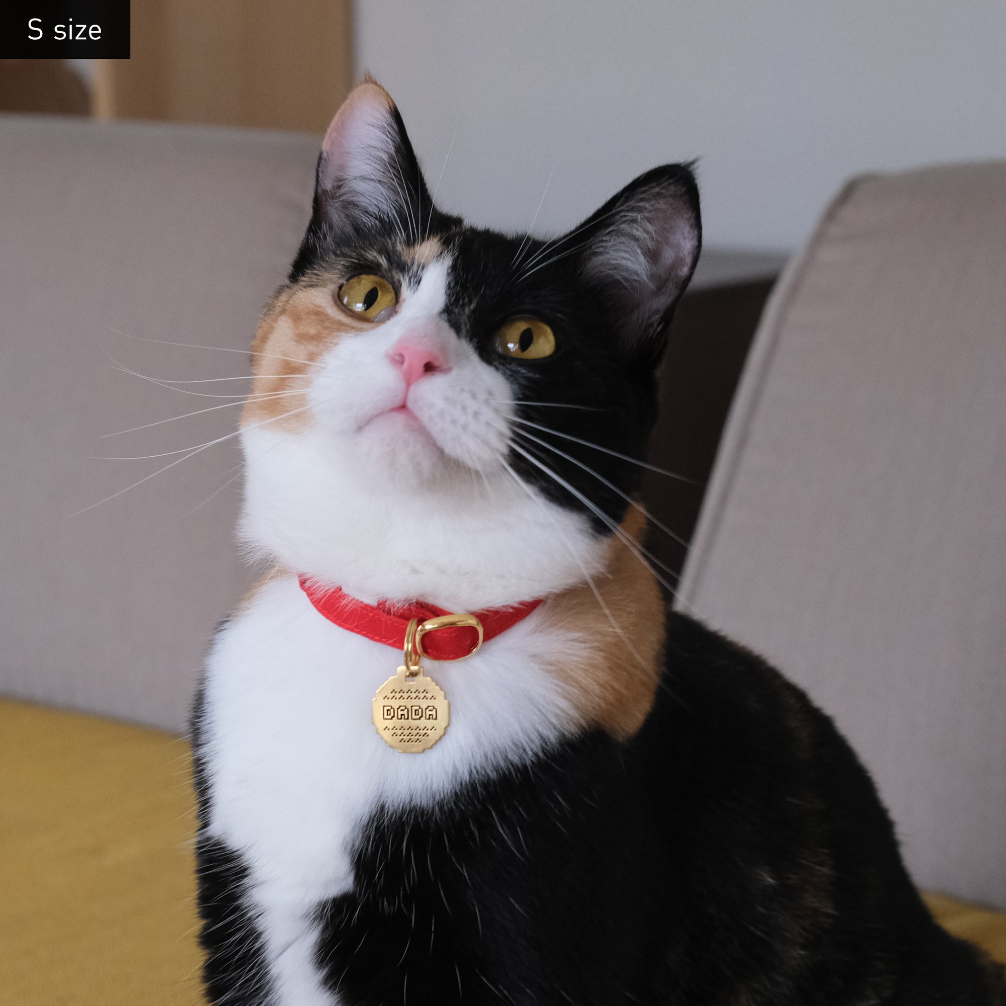 Pixel Pet Tag | Pet Tag – Pixel