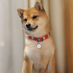 ワックス シール イニシャル 迷子札 | Wax Seal Initial Pet Tag