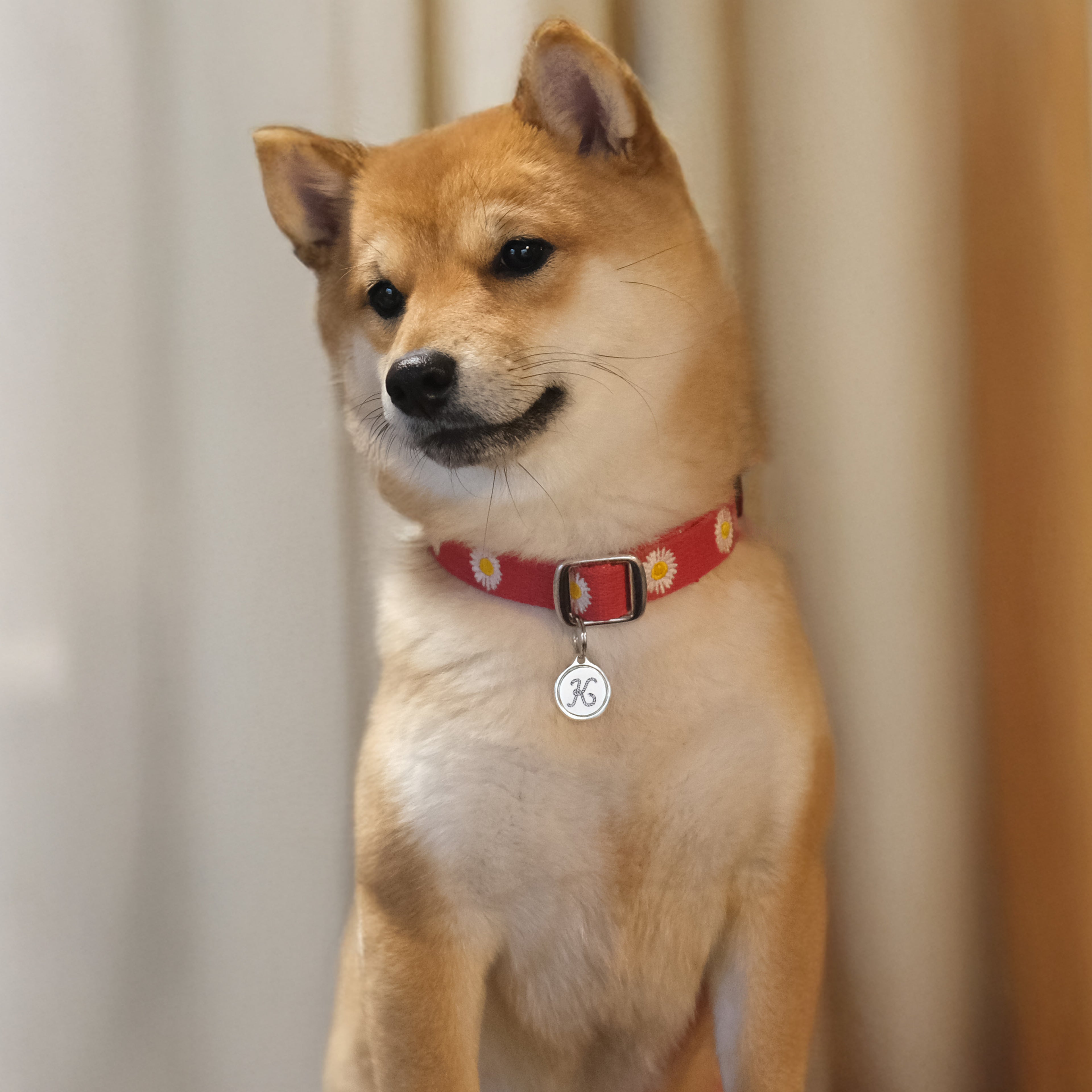 ワックス シール イニシャル 迷子札