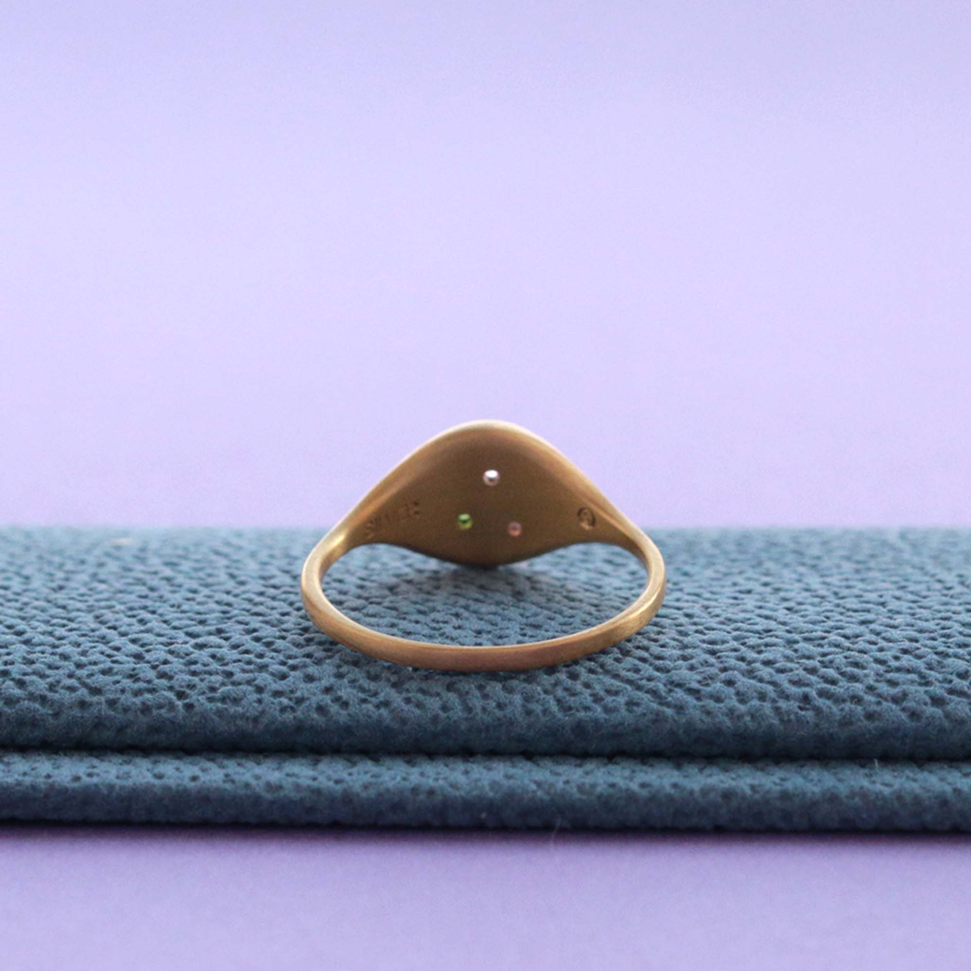 Slim Oval Signet Ring #13 - Matte Finish / Tourmaline / 18K Plating
